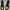 Nike jordan  photo 1