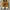 Converse Cons Chunk Taylor Sunflower Sneakers Sepatu Size 40 photo 2