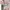 Jaket bomber varsity pink lolita (-) photo 5