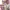 Jaket bomber varsity pink lolita (-) photo 2
