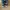 Saucony Originals DXN Trainer  photo 4