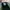 Saucony Originals DXN Trainer  photo 6