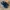 Saucony Originals DXN Trainer  photo 3
