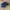Saucony Originals DXN Trainer 