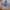 Celana Jeans Levis 501 Straight Leg Button Fly ripped mantab photo 6