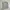 Back Number Vintage Streetwear Pria tan cream photo 1