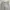 Back Number Vintage Streetwear Pria tan cream photo 2