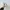 Nike Air Jordan 1 Low Wolf Grey photo 4