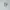 Nike Air Jordan 1 Low Wolf Grey photo 3