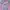 Little twin star x bateeq size 13 photo 1