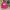 Corduroy Waynes world  photo 6