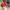 Corduroy Waynes world  photo 7