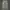 PL THE WORLD CARGO BACK NUMBER military cargo pants photo 1