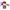 Somethinc — The Nobles Eyeshadow Vol. 1 photo 1