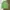 The North Face Streetwear Casual Fleece Pria multicolor photo 3