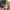 The North Face Outdoor Utility Nylon Shorts photo 5