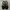 NIKE TAILWIND AIR MAX SKEPTA BLACK GOLD photo 4