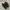 NIKE TAILWIND AIR MAX SKEPTA BLACK GOLD photo 6