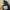 NIKE TAILWIND AIR MAX SKEPTA BLACK GOLD photo 8
