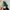 NIKE TAILWIND AIR MAX SKEPTA BLACK BLUE TOSCA photo 5