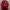 Jersey Home MU 2024/2025 photo 1