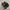 NIKE TAILWIND AIR MAX SKEPTA BLACK RED BOOLD photo 8