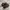 NIKE TAILWIND AIR MAX SKEPTA BLACK RED BOOLD photo 1