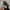 NIKE TAILWIND AIR MAX SKEPTA BLACK RED BOOLD photo 6