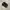 NIKE TN3 MAX PLUS TUNED AIR BLACK photo 6