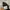 NIKE TN3 MAX PLUS TUNED AIR BLACK photo 4