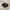 NIKE TN3 MAX PLUS TUNED AIR BLACK photo 1