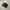 NIKE TN3 MAX PLUS TUNED AIR BLACK photo 3