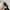 NIKE TAILWIND AIR MAX SKEPTA FULL BLACK photo 6