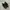 NIKE TN3 MAX PLUS TUNED AIR FULL BLACK photo 4