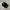 NIKE TN3 MAX PLUS TUNED AIR FULL BLACK photo 7