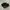 NIKE TN3 MAX PLUS TUNED AIR FULL BLACK