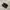 NIKE TN3 MAX PLUS TUNED AIR BLACK RED BOOLD photo 4