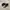 NIKE TN3 MAX PLUS TUNED AIR BLACK WHITE photo 2