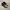 NIKE TN3 MAX PLUS TUNED AIR BLACK WHITE photo 5