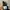 NIKE TN3 MAX PLUS TUNED AIR BLACK WHITE photo 3
