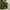 Vintage 50s M65 Trousers Short photo 4