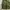Vintage 50s M65 Trousers Short photo 5