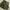 Vintage 50s M65 Trousers Short photo 10
