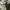 Vintage 50s M65 Trousers Short photo 7