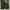 Vintage 50s M51 Shell Trousers photo 9
