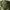 Vintage 50s M51 Shell Trousers photo 6