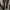 Vintage 50s M51 Shell Trousers photo 4