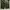 Vintage 50s M51 Shell Trousers photo 5