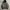 2000’s Russel Hoodie  photo 2