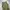 Whoau repro m65 cargo pants  photo 4